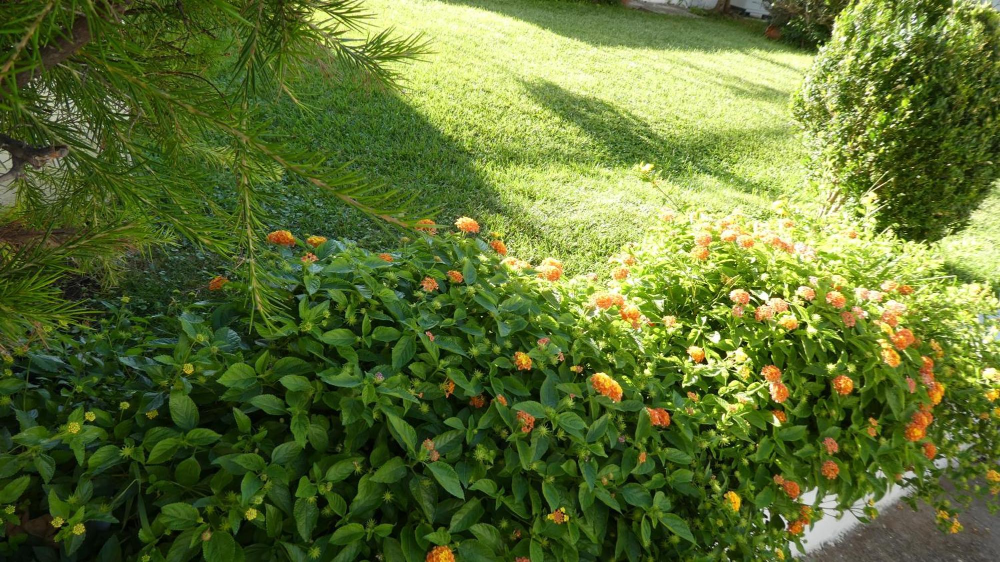 B&B Oliena Bagian luar foto