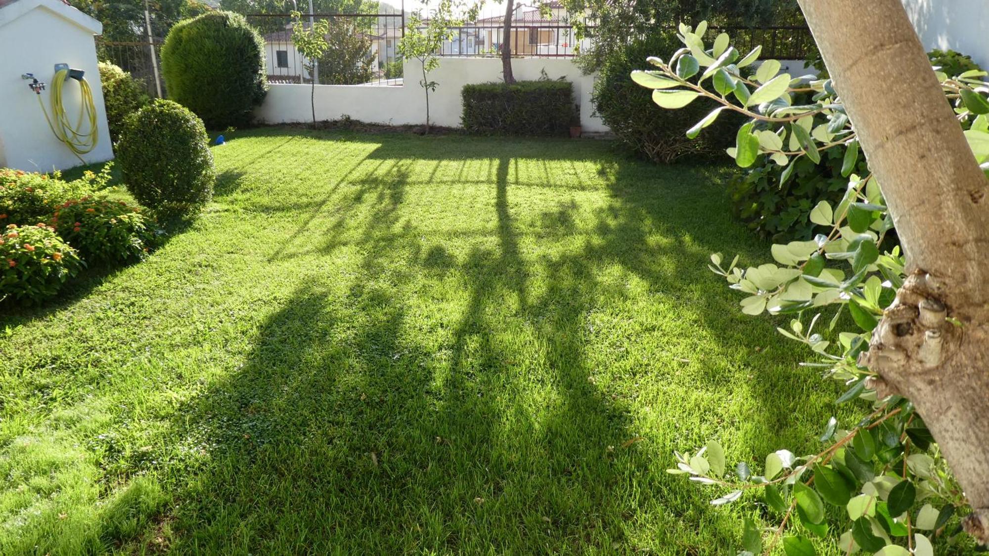 B&B Oliena Bagian luar foto