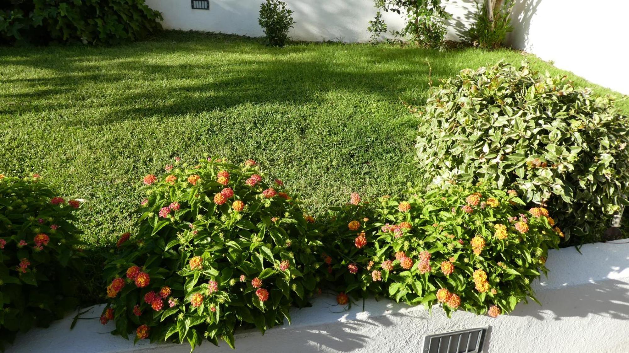 B&B Oliena Bagian luar foto